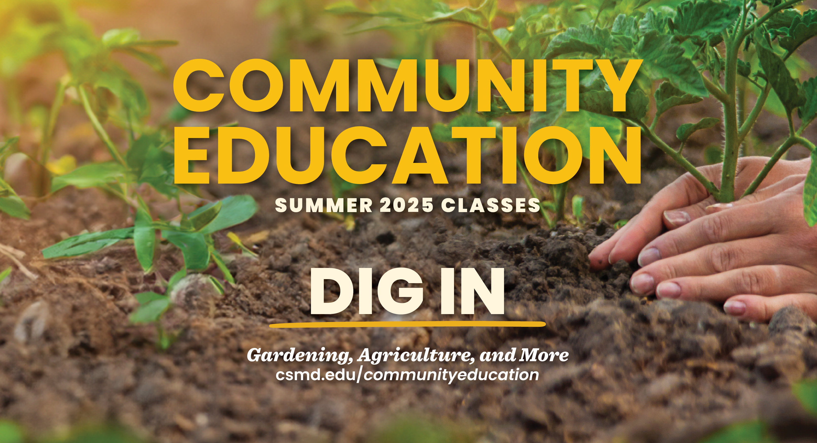 CWD Summer 2025 portal graphic