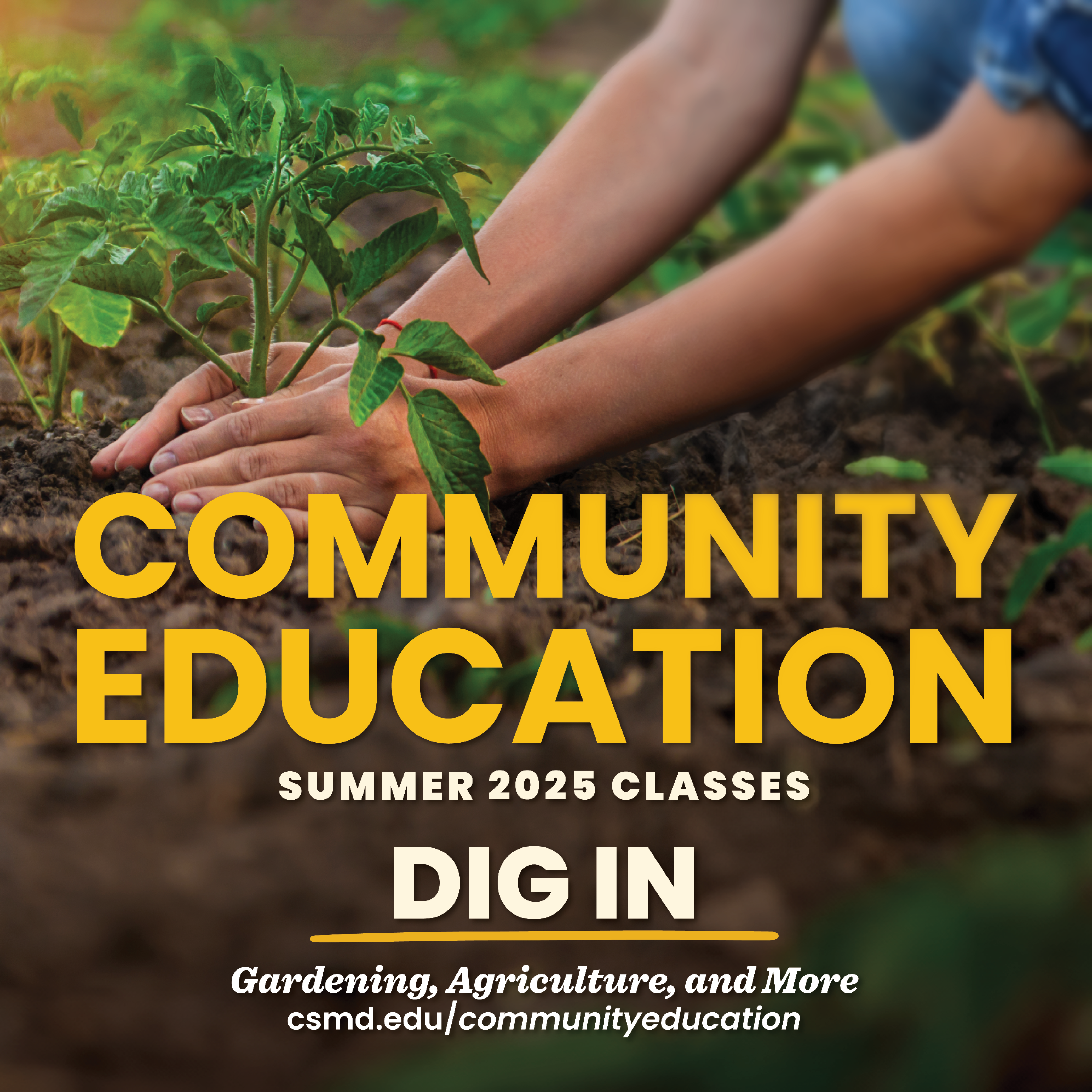 CWD Summer 2025 social graphic